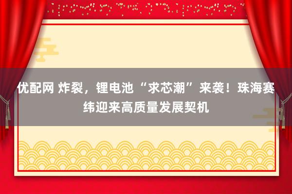 优配网 炸裂，锂电池 “求芯潮” 来袭！珠海赛纬迎来高质量发展契机